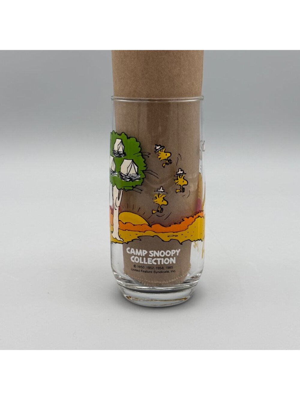 Camp Snoopy McDonalds Collectible Glass 1980s Peanuts Morning People